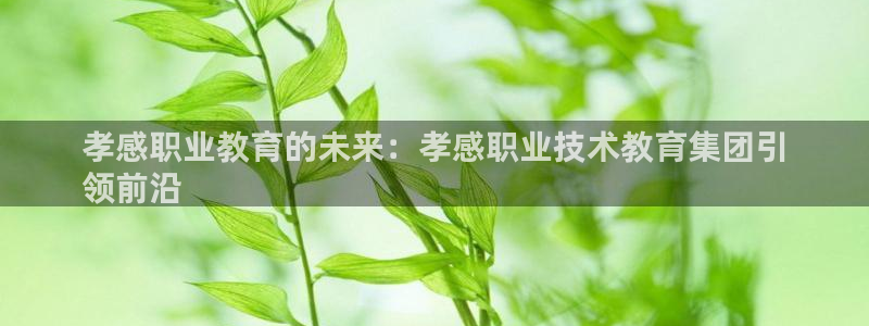 j9九游会登录入口首页|孝感职业教育的未来：孝感职业技术教育集团引
领前沿