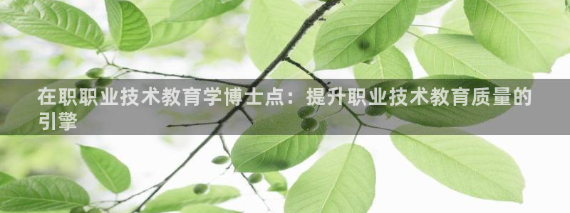 九游会j9备用网址|在职职业技术教育学博士点：提升职业技术教育质量的
引擎